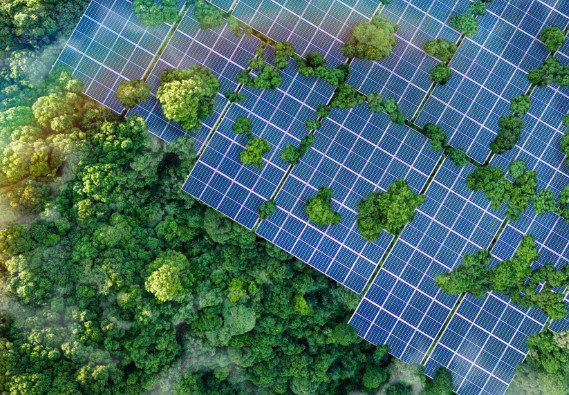 腾博官网-诚信为本,专业服务!